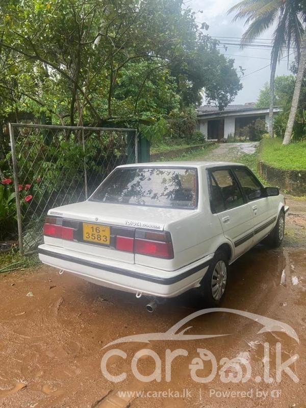 TOYOTA COROLLA AE81 1986 | Careka.lk