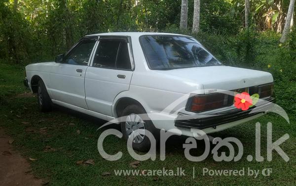 NISSAN BLUEBIRD 1981 | Careka.lk