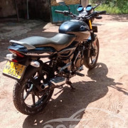 BAJAJ PULSAR 2006
