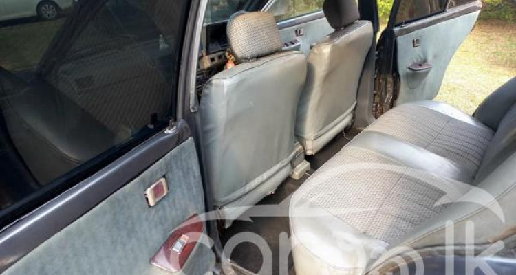 NISSAN SUNNY HB11 1982