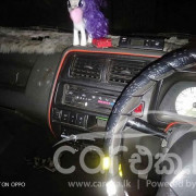 MICRO LOADER 2012