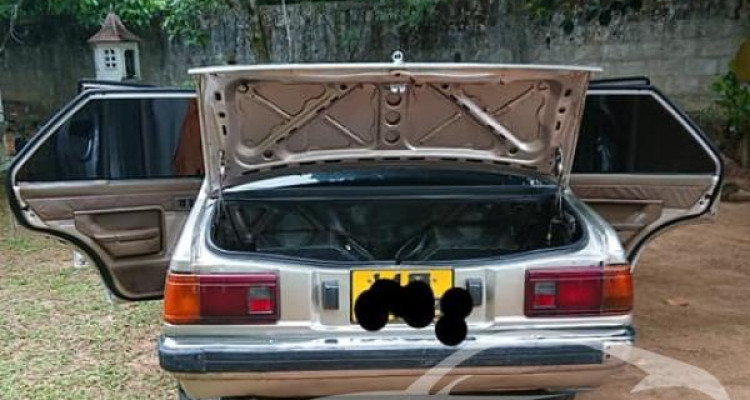 NISSAN SUNNY HB11 1984
