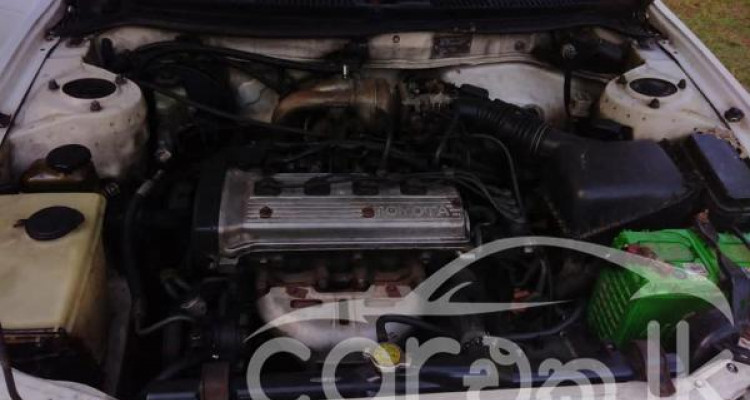 TOYOTA COROLLA EE103 1991