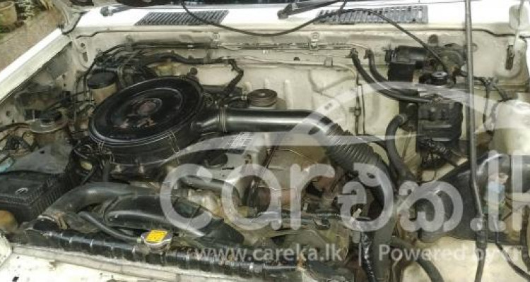 NISSAN D21 1991
