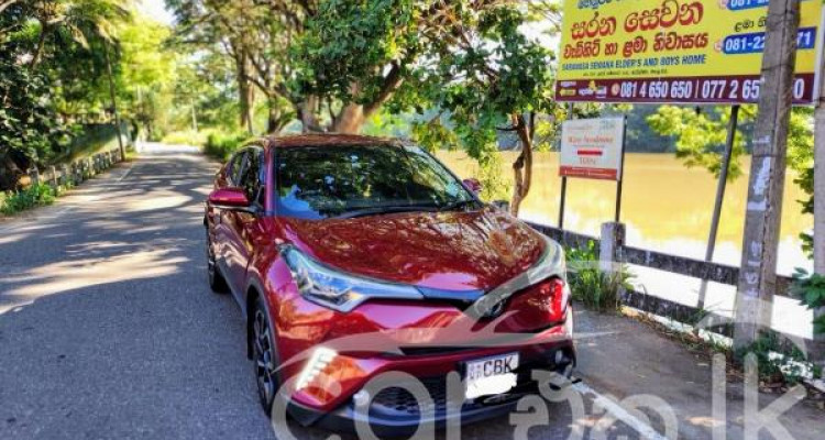 TOYOTA C-HR 2019