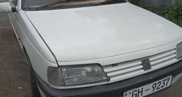 PEUGEOT 405 2001