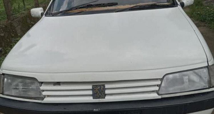 PEUGEOT 405 2001
