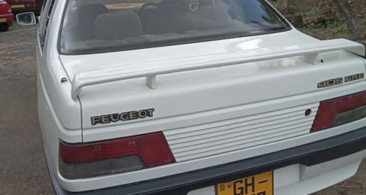 PEUGEOT 405 2001