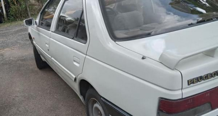 PEUGEOT 405 2001