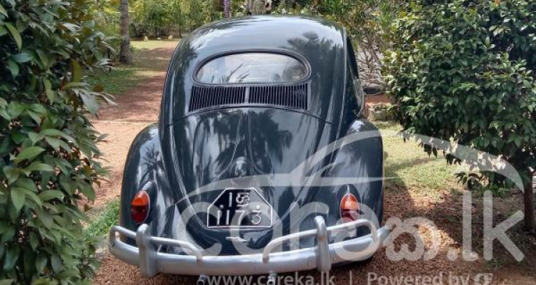 VOLKSWAGEN BEETLE 1956