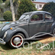 VOLKSWAGEN BEETLE 1956