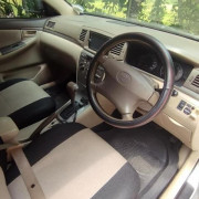 TOYOTA FIELDER 2005