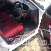 NISSAN SUNNY 1991