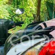 TVS WEGO 2012