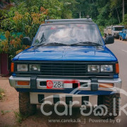 NISSAN DATSUN 1981