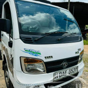 TATA ACE 2015