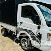 TATA ACE 2015