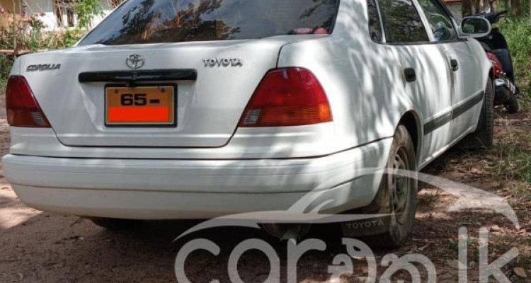 TOYOTA COROLLA 1996