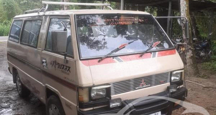 MITSUBISHI DELICA L300 1980