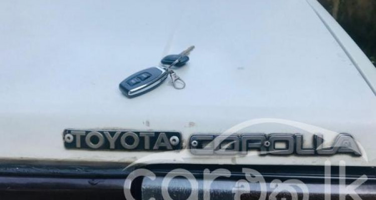 TOYOTA COROLLA AE80 1984