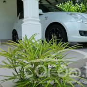 SUZUKI SWIFT 2008