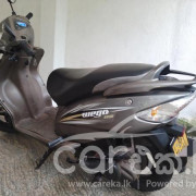 TVS WEGO 2017