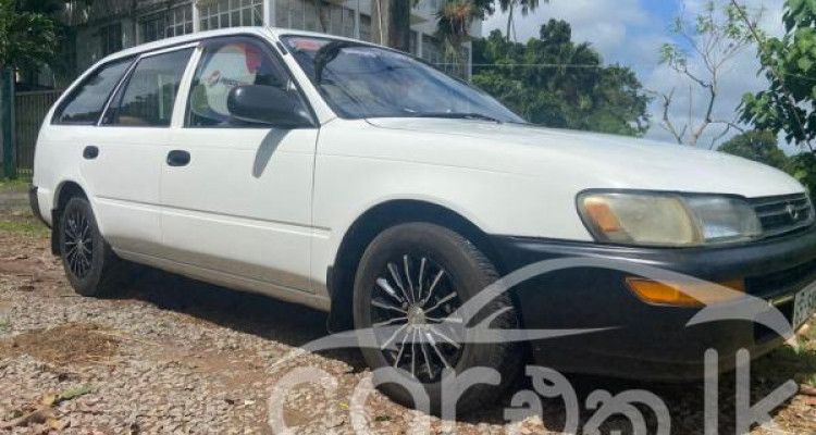 TOYOTA COROLLA 1995