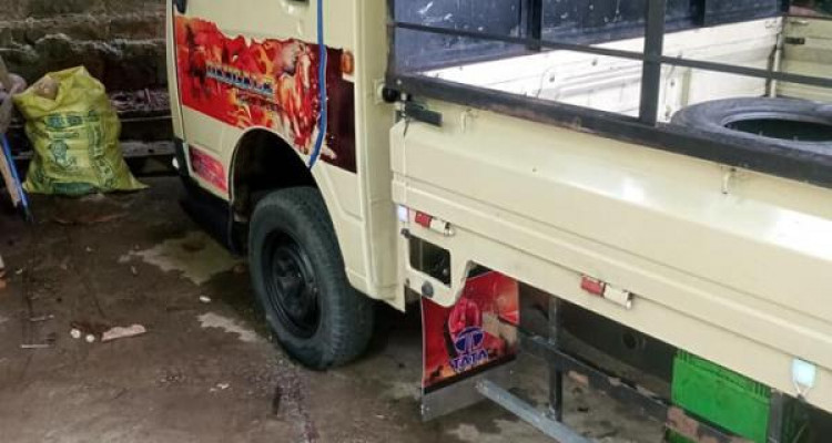 TATA ACE 2010