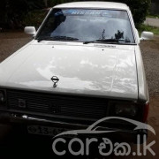 NISSAN SUNNY B310 1980