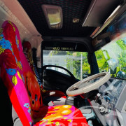 ISUZU ELF FREEZER 2010