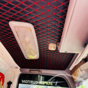 ISUZU ELF FREEZER 2010