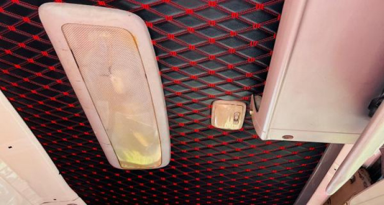 ISUZU ELF FREEZER 2010