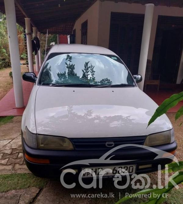 TOYOTA COROLLA 2000