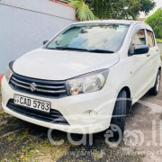 SUZUKI CELERIO 2015