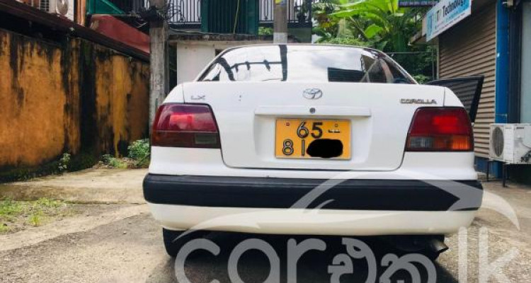 TOYOTA COROLLA 1996