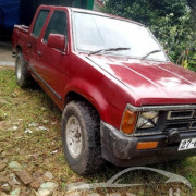 NISSAN DATSUN 1980