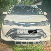 TOYOTA AXIO 2015