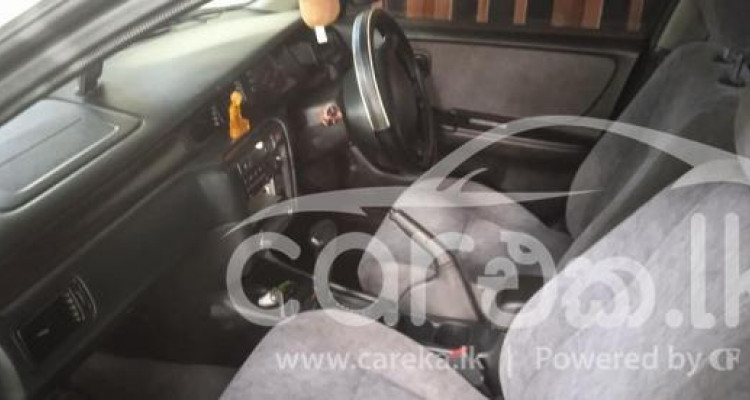 NISSAN BLUEBIRD 1999