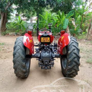 MASSEY FERGUSON 240 1985