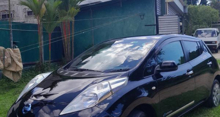 NISSAN LEAF 2013