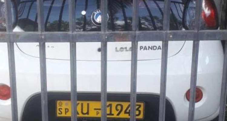 MICRO PANDA 2012