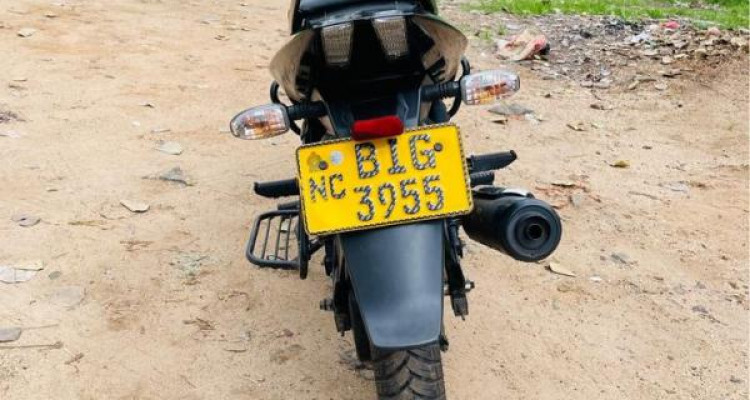 BAJAJ PULSAR 150 2019