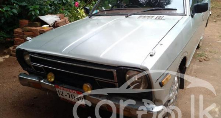 NISSAN SUNNY HB310 1981
