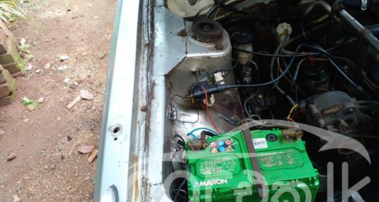 NISSAN SUNNY HB310 1981