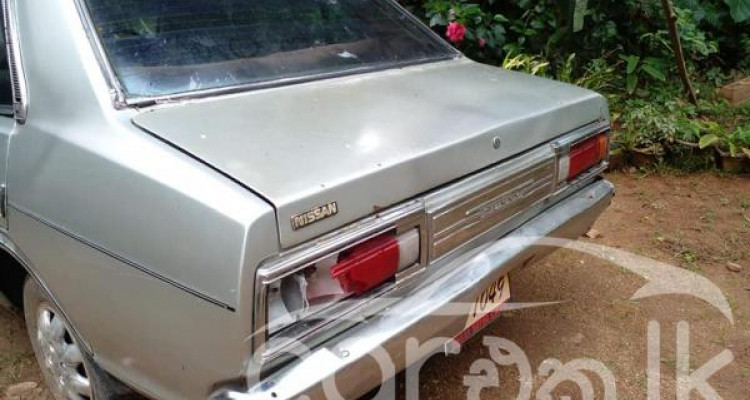 NISSAN SUNNY HB310 1981