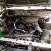 NISSAN SUNNY HB310 1981