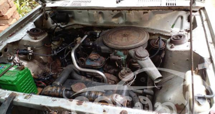 NISSAN SUNNY HB310 1981