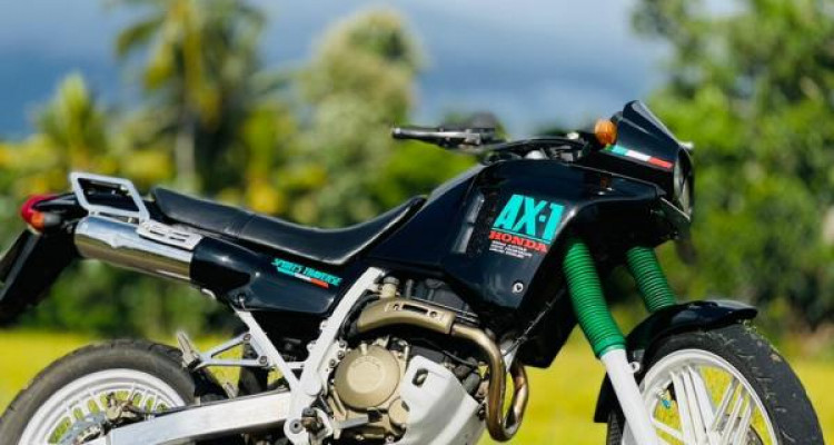 HONDA HORNET 2006