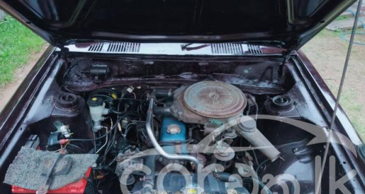 NISSAN SUNNY 1979