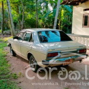 NISSAN SUNNY 1979